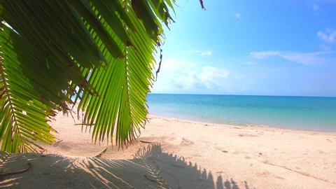 Blue Ocean White Sand Beach の動画素材 ロイヤリティフリー Shutterstock