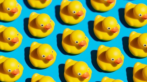Seamless loop footage of rubber ducks. Cute yellow toys arranged in rows and faced in one direction.Plastic ducklings ready for child's fun in the bath.Symbol of kid's play in the water while bathing.
