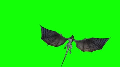 Dragon Flying on Green Screen