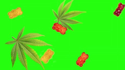 Looped cannabis leaves falling. CBD infused jelly bears. Medical marijuana edibles on green screen. Vertical video