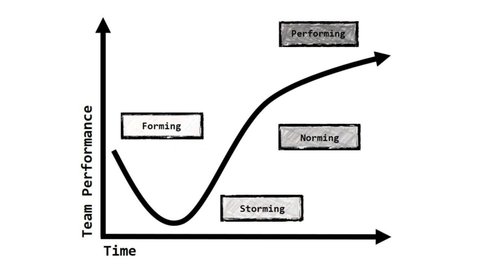 Diagram Showing Different Phases Group Development Stock Illustration ...