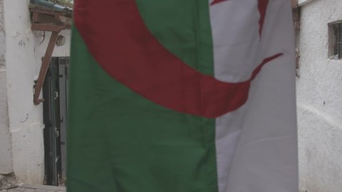 
Algerian girl walking the Algerian flag