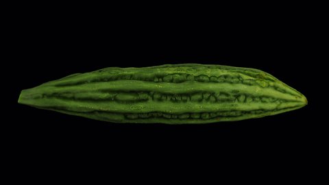 Realistic render of a rotating Bitter Melon (Bitter Gourd) on transparent background (with alpha channel). The video is seamlessly looping, and the 3D object is scanned from a real bitter melon.
