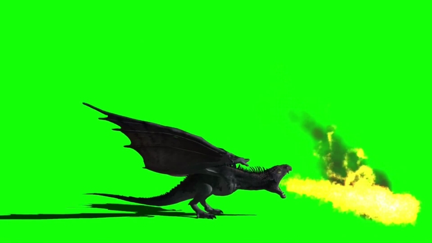 Fire Breathing Dragon Flying on Green Screen