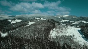 Coniferous forest pine Carpathians aerial video winter snow snowy