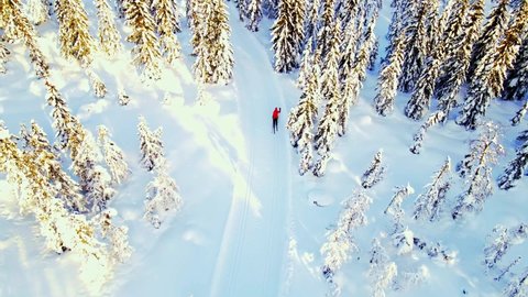 Person cross country skiing through a winter wonderland with snow capped forest and beautiful skiing trails on a sunny day. 4K Aerial.