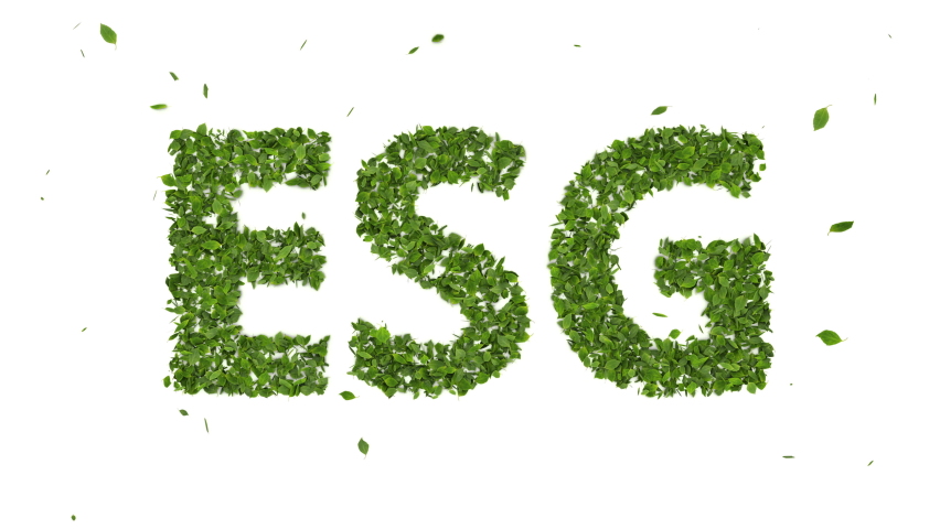 abstract 3D leaves growing and forming ESG text symbol animation on white background, creative eco environment investment fund, 2021 future green energy innovation business trend Royalty-Free Stock Footage #1066562014