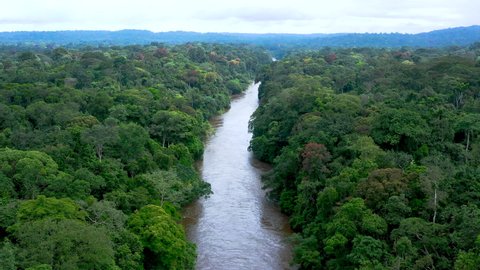 Aerial view. A river in the middle of a rainforest. Equatorial Africa