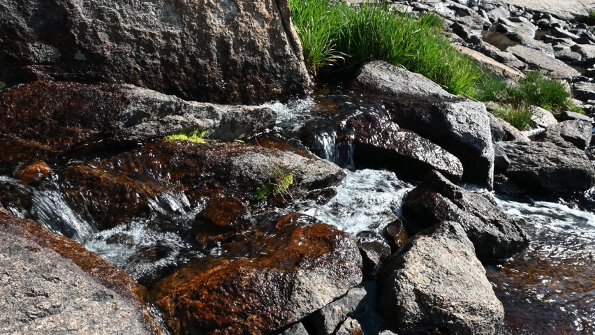 Small Stream up close in Rocky Mountain National Park