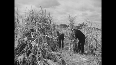 CIRCA 1940s - In a scene from a 1942 film, pioneers help each other harvest and invite a minister for dinner in the 1870s.