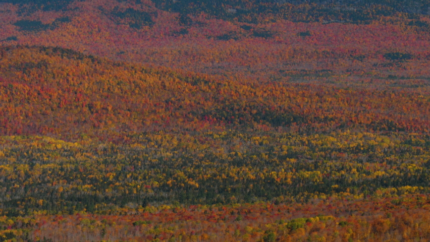 Autumn tree colors in the Carrabassett Valley near Sugarloaf Mountain, Kingfield, Maine.