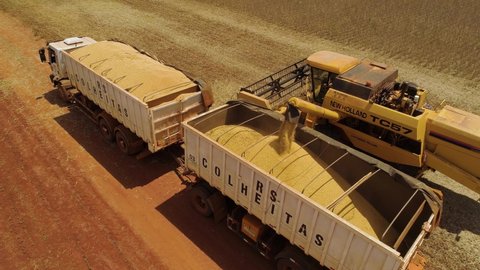 Chapadão do sul, Mato Grosso do Sul, Brazil, February 27, 2020: Harvesting soybeans, soybeans being transported, loading soybeans, transporting soybeans to the silo