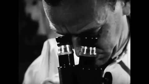 CIRCA 1950s - A scientist looks at grubs under a telescope, and grubs stage an exodus from a piece of Mitin treated wool in the 1950s.