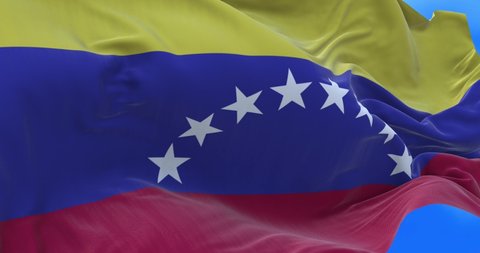 Seamless loop of Venezuela flag.