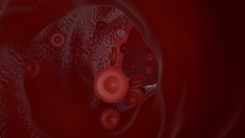 Red Blood Cells Flowing Inside Human Vein, Seamless Loop