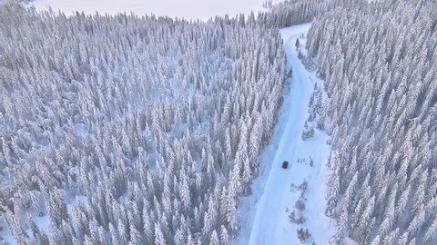 Winter driving on a mountain road covered in snow. Aerial view with the trees covered in heavy snow. 