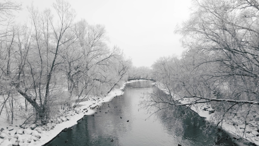 Aerial video following a river lined on both sides by white frozen snow and frost covered trees revealing a foot bridge.