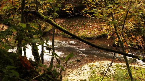 Mountain stream in autumn near Immenstadt im Allgäu - Eistobel Naturschutzgebiet