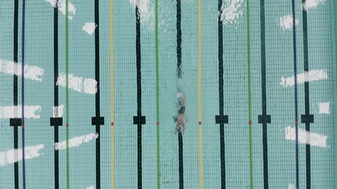 A professionnal swimmer swimming in a olympian swimming pool วิดีโอสต็อก