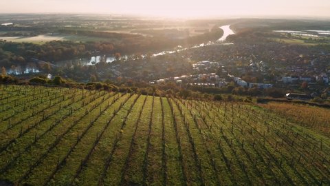 Tokaj, Hungary - 4K drone flying above the famous vineyards of Tokaj wine region on a warm autumn morning with rising sun and town of Tokaj