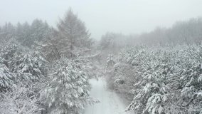 Aerial 4k footage of a winter forest. Mixed foggy forest, heavily covered with snow, view from above.