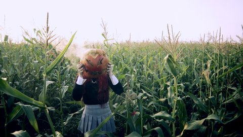 Adorable witch in a cornfield with a pumpkin. 
