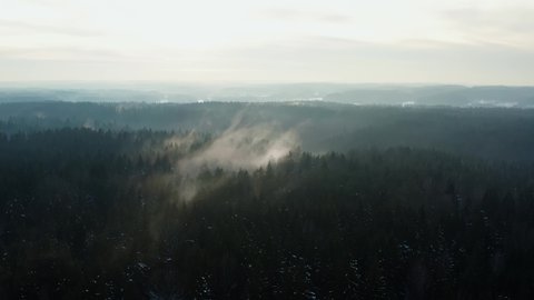 Aerial cinematic shot hilly winter forest with tall pine trees. Top view flyover beautiful woodland, clouds of fog moving over treetops and lit with morning sun light. Mist, foggy day