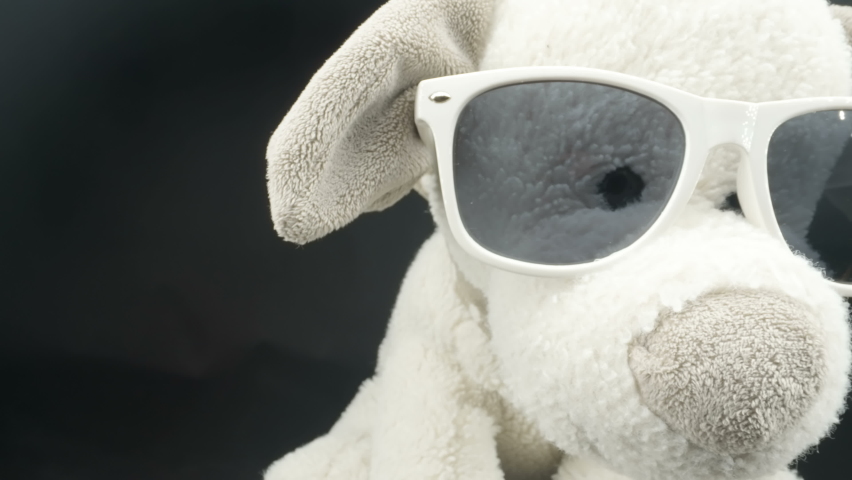 The gray and white dog stuff toy wearing the white sunglasses