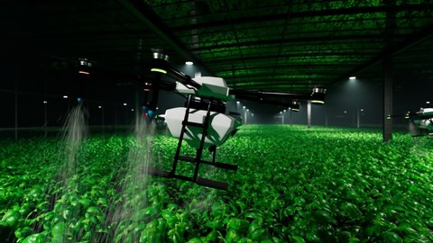 Animation with drones spraying health plant products on a plantation at night. Quadrocopters watering herbs. Efficient and innovative agriculture process. The technology of the future. Render 4K HD