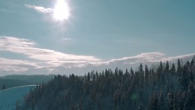 sunny winter frosty forest in the mountains. evergreen trees. top view, top shot. Aerial view of forest. Drone shot flying over spruce conifer treetops, nature background footage in 4K resolution
