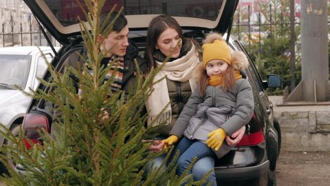Family with Christmas tree inside of car. Choosing and buying big Xmas tree for traditional celebration.