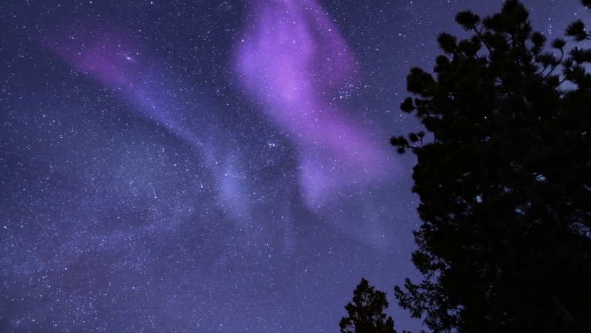 Aurora Borealis Pink Loop Pine Trees Purple Sky Northern Lights | Shutterstock HD Video #1066688134