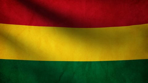 Bolivian Flag Waving Animation Stock Footage Video 100 Royalty Free