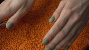 Footage of dry fresh lentils seeds woman holding in hands.