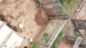 Aerial view of a shelter for stray dogs. Vertical video