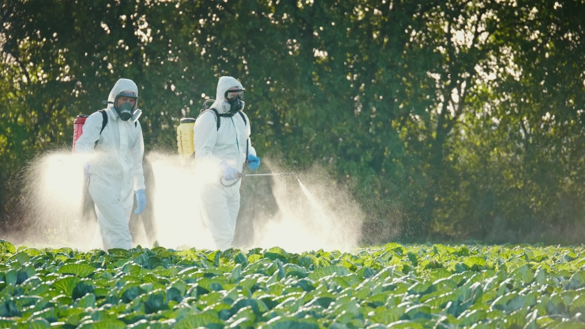 Pest Control Service. Spray Fumigation for Weed Control. Men in Protective Suits with Respirators Spray Toxic Pesticides, Pesticides and Insecticides on Plantations. Industrial Chemical Agriculture. | Shutterstock HD Video #1066734334