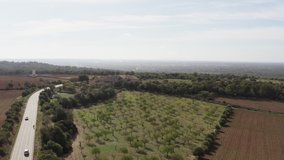 Landscape of growing agricultural crops dron 4K video. Aerial view of trees growing in the fields on the background visible plowed fields, road and mountains on the background with beautiful nature.