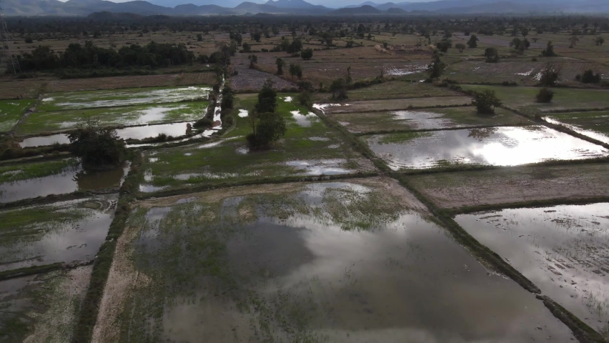 Aerial footage over rice fields cover by water in Cambodia, green nature Cardamon mountains in the background