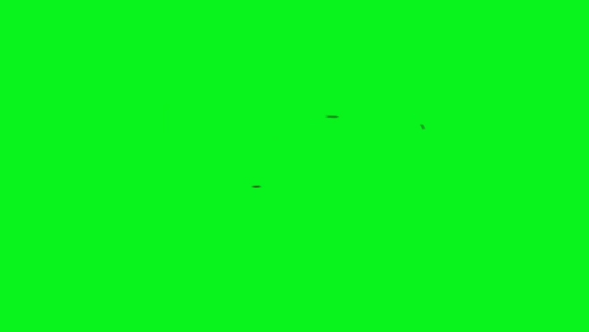 Swarm of Flies Flying on Green Screen Royalty-Free Stock Footage #1066765204