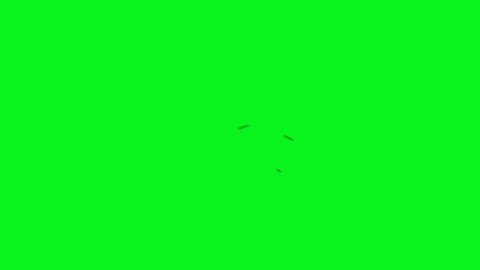 Swarm of Flies Flying on Green Screen