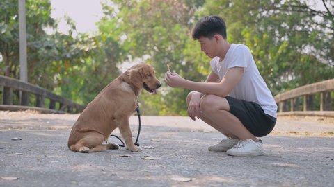 Portrait of happy asian young man sitting holding dog food and golden retriever dog sitting waiting feed food from owner on bridge in parks and outdoors. Friendship and pet concept.