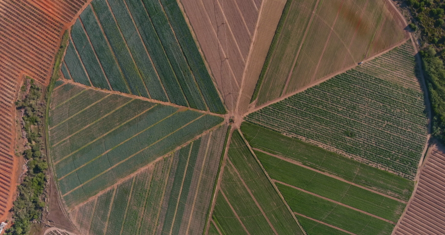 High aerial circular view of cultivated farm lands growing various vegetable crops Royalty-Free Stock Footage #1066781764