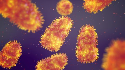 Rabies is a viral disease of the nervous system that causes deadly brain inflammation. 3d animation render of Rabies viruses.