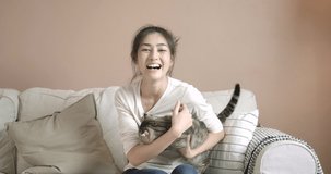 POV of A young beautiful asian woman sit on sofa with cute cat and looking at camera for video call. Pretty girl smiles and strokes her kitten. Happy lady in casual clothes at house during quarantine.