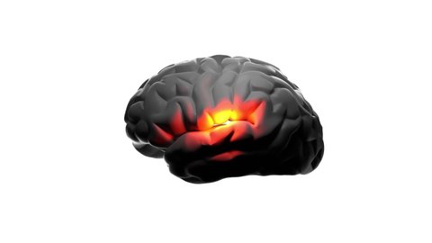 Human brain black on white isolated background, glowing red pain. Concept of health and illness in stroke, stress, vertigo, depression, burnout, brain cancer. Brainstorming thought idea, 3d design.