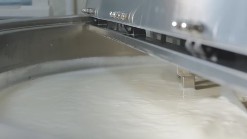 stirring milk in a cheese dairy with a special mixer in a large vat. Pasteurization and mixing of cheese milk. Cheese production in a small family cheese dairy