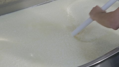 the cheese maker mixes curdled milk from the milk by hand using a long stirrer in the form of an oar. Cheese production stage in a family cheese dairy.