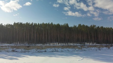 Pine forest and frozen sea coast. Winter nature aerial footage