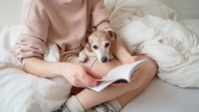 Reading at home in white bed with pet. Enjoying relaxed time weekend with book in comfort cozy atmosphere. Woman with slim beautiful legs having rest at home. Adorable dog Napping falls asleep. Video 
