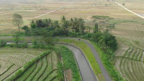 motorbikes across views of green rice fields and irrigation